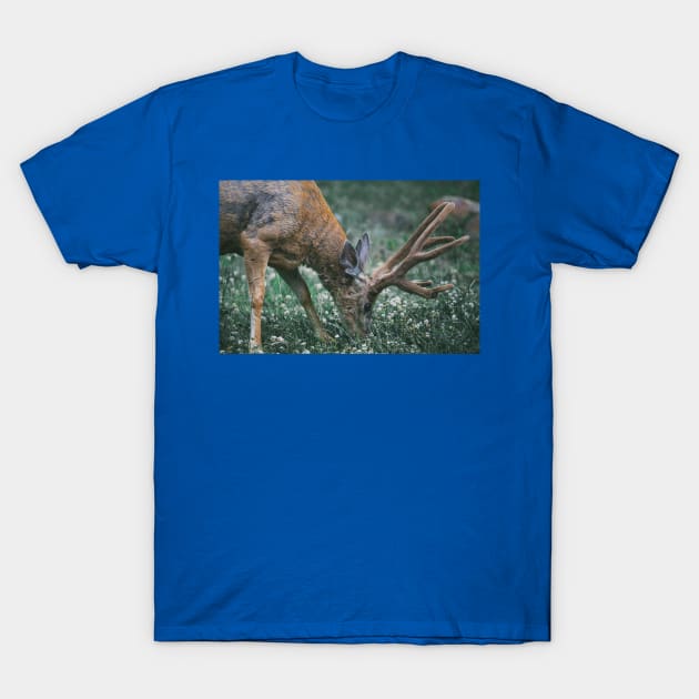 Wild life design T-Shirt by GenesisClothing